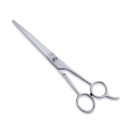 Economy Hair Scissors